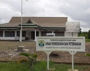 Pelaksana Disinyalir Tak Becus Laksanakan Pengadaan Sapi, Namun Disbunak Muarojambi Malah Bungkam