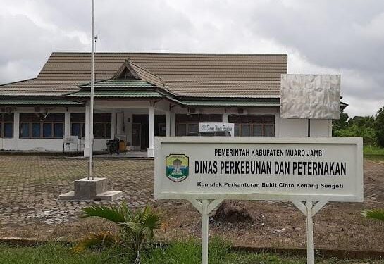 Dinas Perkebunan dan Peternakan (Disbunak) Muarojambi. (ist)