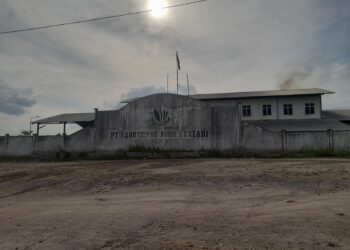 Polemik Pengelolaan PKS PT Prosympac Agro Lestari: PPJB “Misterius” dan Dugaan Jaminan Kasus Hukum