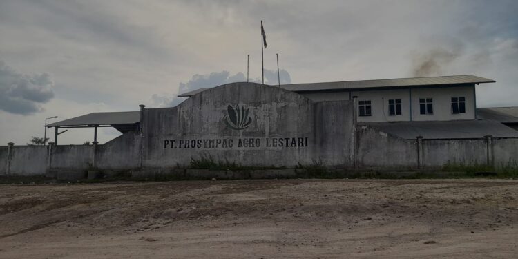 Polemik Pengelolaan PKS PT Prosympac Agro Lestari: PPJB “Misterius” dan Dugaan Jaminan Kasus Hukum