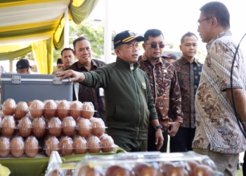 Al Haris: Pangan Murah Wujud Nyata Kehadiran Pemerintah Tingkatkan Kesejahteraan Masyarakat