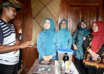 Kunjungi Rumah Kreatif Nekno di Talang Belido, Ketua TP-PKK Hesti Haris Apresiasi Pemanfaatan Limbah Sawit
