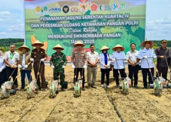 Bersinergi Mendukung Swasembada Pangan, Gubernur Al Haris dan Kapolda Jambi Tanam Jagung Serentak Kuartal IV