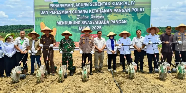 Bersinergi Mendukung Swasembada Pangan, Gubernur Al Haris dan Kapolda Jambi Tanam Jagung Serentak Kuartal IV