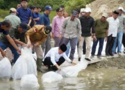 Dorong Kelestarian Danau dan Sungai, Gubernur Al Haris Tabur Puluhan Ribu Benih Ikan di Danau Kerinci dan Batang Merao
