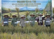 Dukung Ketahanan Pangan, Gubernur Al Haris Hadiri Panen Raya TNI di Kabupaten Tanjungjabung Timur