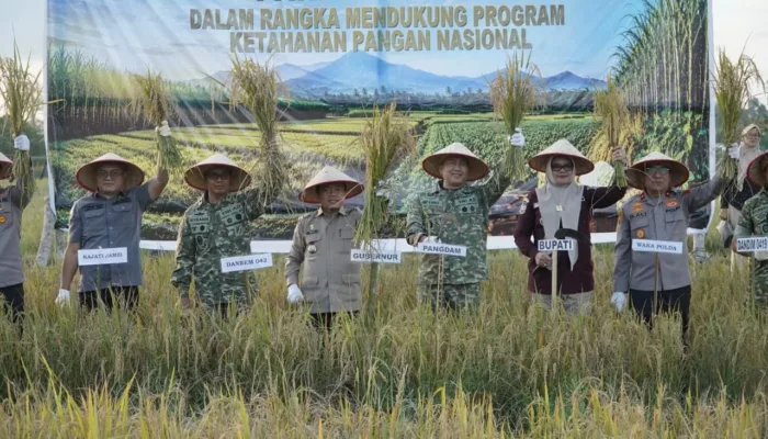 Dukung Ketahanan Pangan, Gubernur Al Haris Hadiri Panen Raya TNI di Kabupaten Tanjungjabung Timur