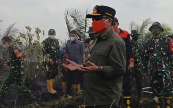 Gubernur Al Haris Serukan Salat Istisqa di Tengah Karhutla Jambi: Mohon Allah Turunkan Hujan di Bumi Jambi