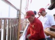 Semarakkan HUT ke-81 RI, Bank Jambi Kibarkan 1.000 Bendera dan Santuni Para Veteran
